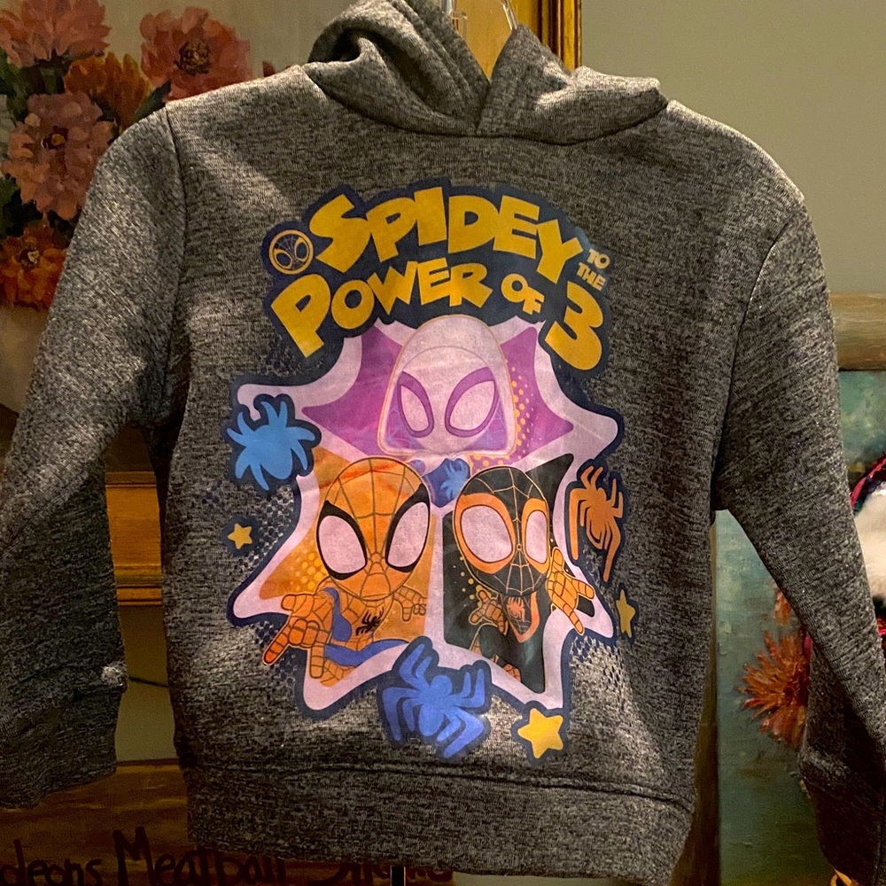 Marvel Spidey And His Amazing Friends To The Power Of 3 Pullover Hoodie